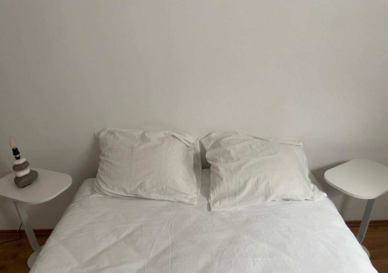 Le Wolf - 1 Chambre Privee Dans Un Appartement - 5Mn Tram Du Centre Ville - 15Mn Tram Gare Tgv Mulhouse - Wifi - Parking 牟罗兹 外观 照片