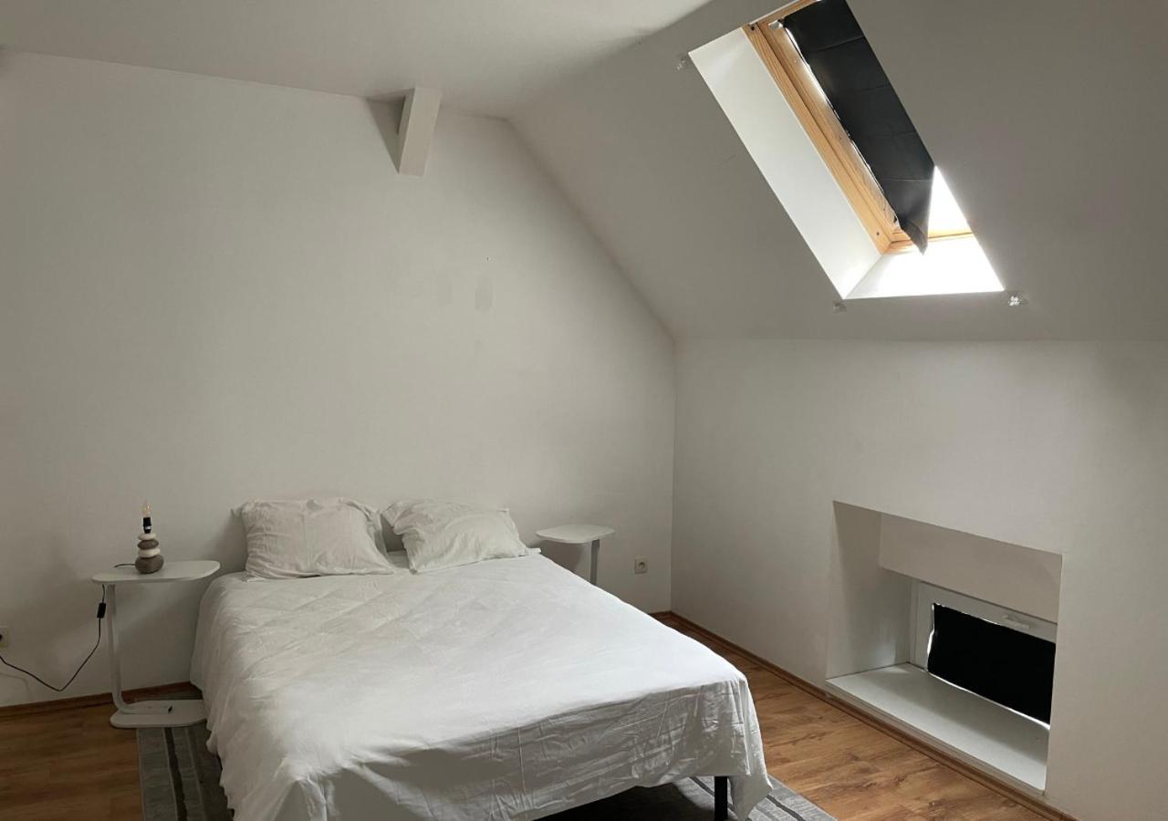Le Wolf - 1 Chambre Privee Dans Un Appartement - 5Mn Tram Du Centre Ville - 15Mn Tram Gare Tgv Mulhouse - Wifi - Parking 牟罗兹 外观 照片